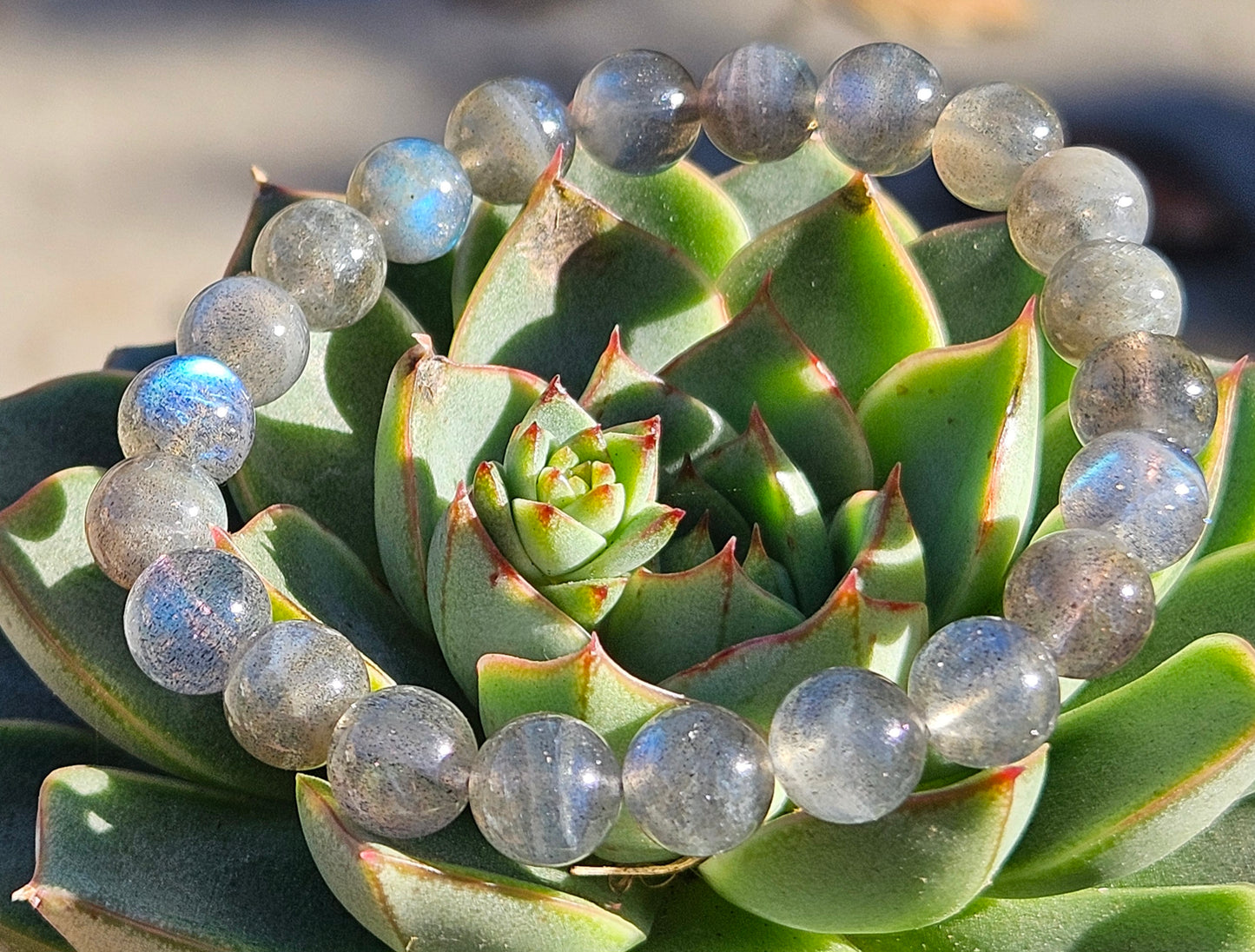 7A Gray Labradorite Natural Healing Bracelet