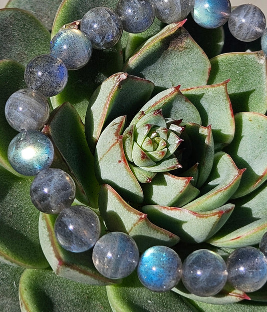 7A Gray Labradorite Natural Healing Bracelet